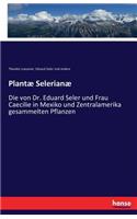 Plantæ Selerianæ: Die von Dr. Eduard Seler und Frau Caecilie in Mexiko und Zentralamerika gesammelten Pflanzen