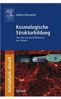 Kosmologische Strukturbildung