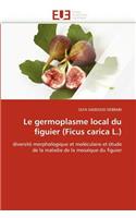 Le Germoplasme Local Du Figuier (Ficus Carica L.)