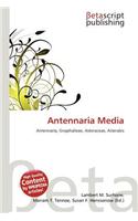Antennaria Media: (English)
