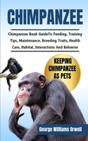Chimpanzee