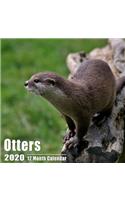Otters Small Calendar 2020