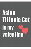 Asian Tiffanie Cat is my valentine: For Asian Tiffanie Cat Fans