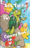 Sea Turtle Coloring Book