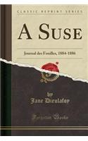 A Suse: Journal Des Fouilles, 1884-1886 (Classic Reprint)