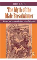 Myth of the Male Breadwinner
