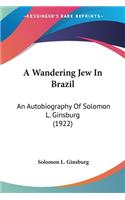Wandering Jew In Brazil
