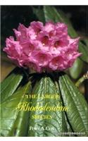 Larger Rhododendrons