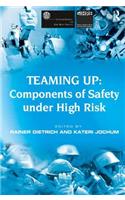 Teaming Up: Components of Safety Under High Risk