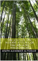 Eyes of the Woods