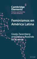 Feminismos en Am rica Latina