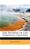 The Pathway of Life Through Creation