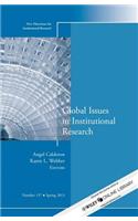 Global Issues in Institutional Research: New Directions for Institutional Research