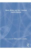 Black Males and the Criminal Justice System