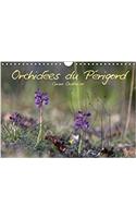 Orchidees Du Perigord 2018