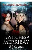 The Witches of Merribay