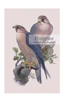 Peregrine