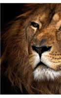 MindBlowing Cute Lion Journal 1
