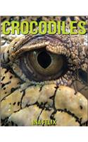 Crocodiles