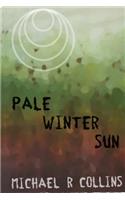 Pale Winter Sun
