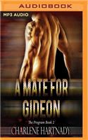 Mate for Gideon