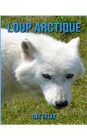 Loup Arctique