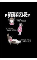 Trimesters of pregnancy