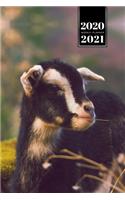 Goat Farmer Farming Herder Goatherd Week Planner Weekly Organizer Calendar 2020 / 2021 - Small and Hungry