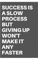 Success Is a Slow Process But Giving Up Won't Make It Any Faster