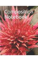 Composition Notebook: Red Succulent Flower Themed Composition Notebook 100 Pages 8.5 X 11