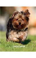 Yorkie Journal: 8 x 10 inch dog notebook, yorkshire notebook, story paper, composition notebook for kids, 150 pages