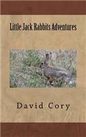 Little Jack Rabbits Adventures