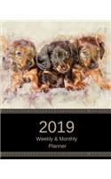 2019 Weekly and Monthly Planner: Dachshund Puppies Daily Organizer -To Do -Calendar in Review/Monthly Calendar with U.S. Holidays