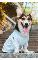Corgi Dot Grid Journal: Blank Dotted Grid Corgi Dog Journal: Cute Corgi