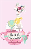 Llama Tell You a Secret. Unique Llama Tea Pot Friendship Secrets Romance Notebook: Homeschool Kindergarten Elementary Religious Festival Birthday Adoption Family Welcome Raffle Gift Present