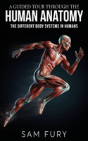 Guided Tour Through the Human Anatomy