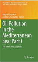 Oil Pollution in the Mediterranean Sea: Part I