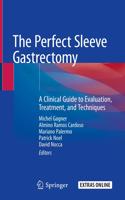 Perfect Sleeve Gastrectomy