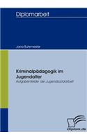 Kriminalpädagogik im Jugendalter - Aufgabenfelder der Jugendsozialarbeit