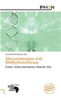 Glucuronoxylan 4-O-Methyltransferase