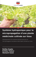 Système hydroponique pour la micropropagation d'une plante médicinale cultivée sur tissu
