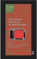 Television at Large in South Asia