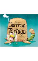 Una sorpresa para Tortuga