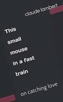 This small mouse in a fast train