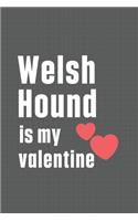 Welsh Hound is my valentine: For Welsh Hound Dog Fans