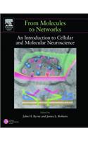 From Molecules to Networks