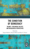The Condition of Democracy