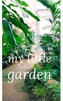 My little garden