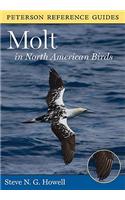 Molt in North American Birds
