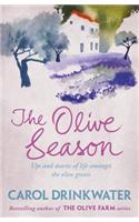 The Olive Season